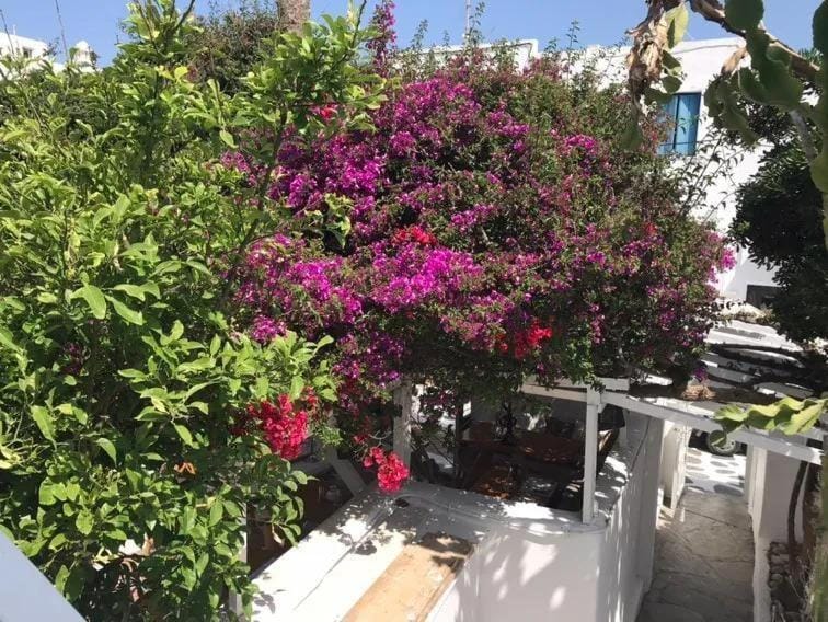 Sole Mykonos Apartment in Mykonos