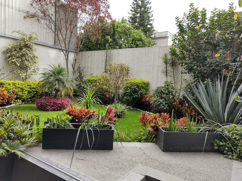 Garden, Garden