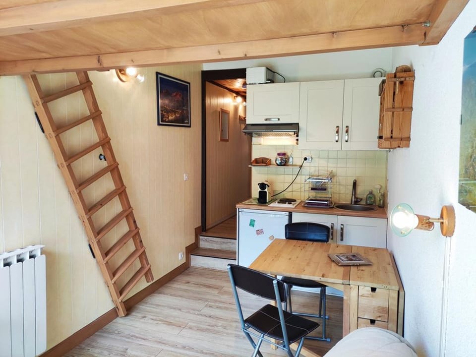 Studio mezzanine rénové, accès direct pistes, parking et internet inclus - FR-1-292-179 Apartment in Isola