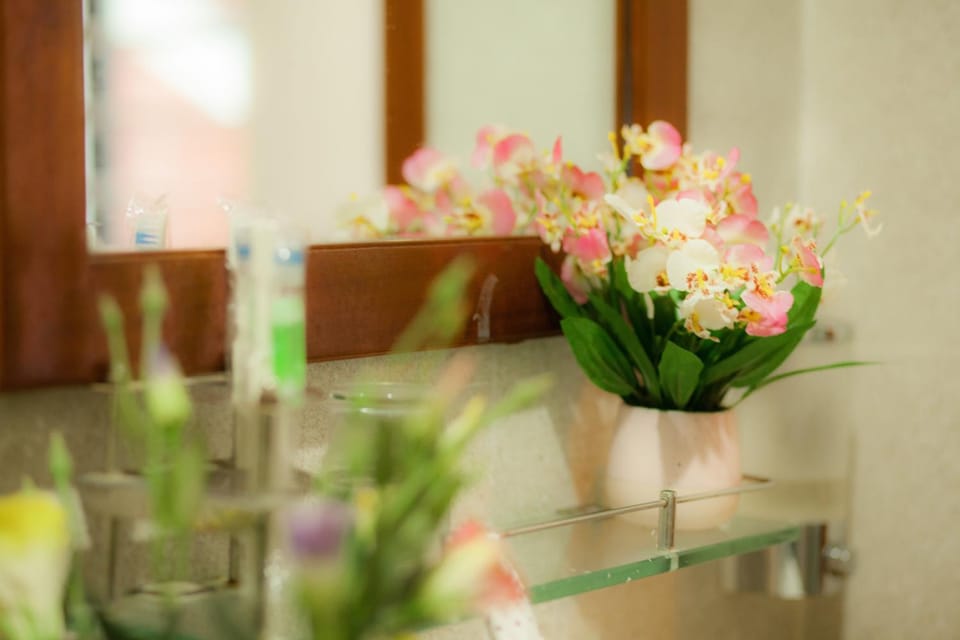 Phố Seoul Villa And Spa Bed and Breakfast in Hoi An