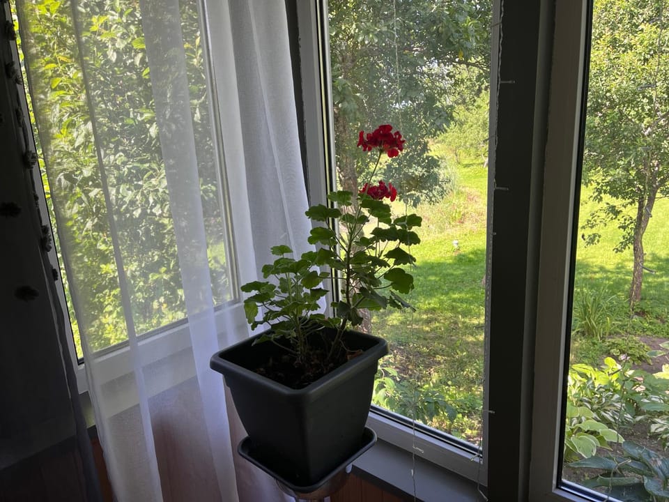 Altja Villa-Privat Sauna House in Lahemaa Apartment in Estonia