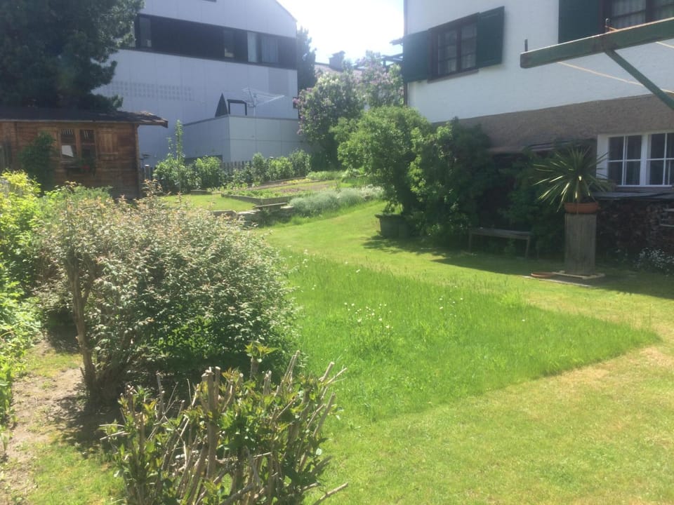 Inner courtyard view