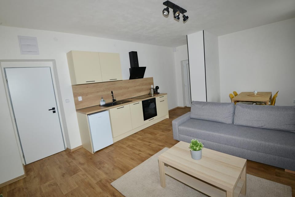 Kitchen or kitchenette, Living room, Seating area, Dining area, stove