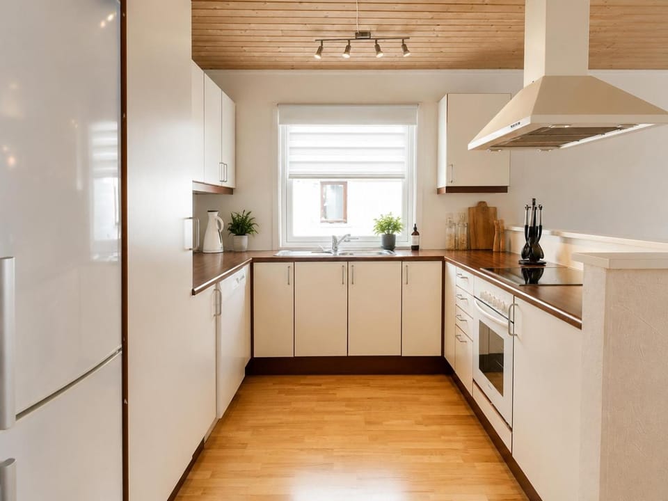 Kitchen or kitchenette, dishwasher, oven, stove