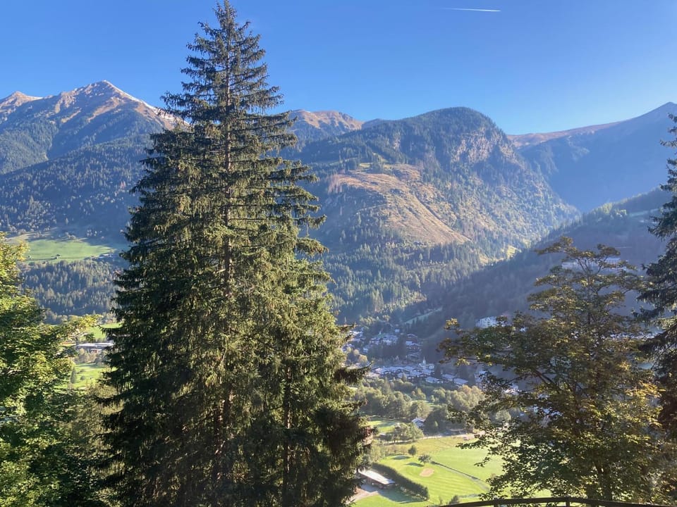 Mountain view