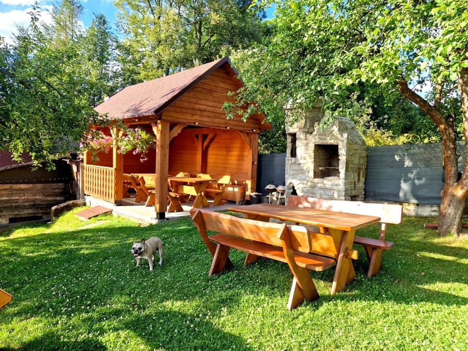 Property building, Patio, Spring, Day, Garden, Animals, Pets, Garden view, pet friendly, pet friendly