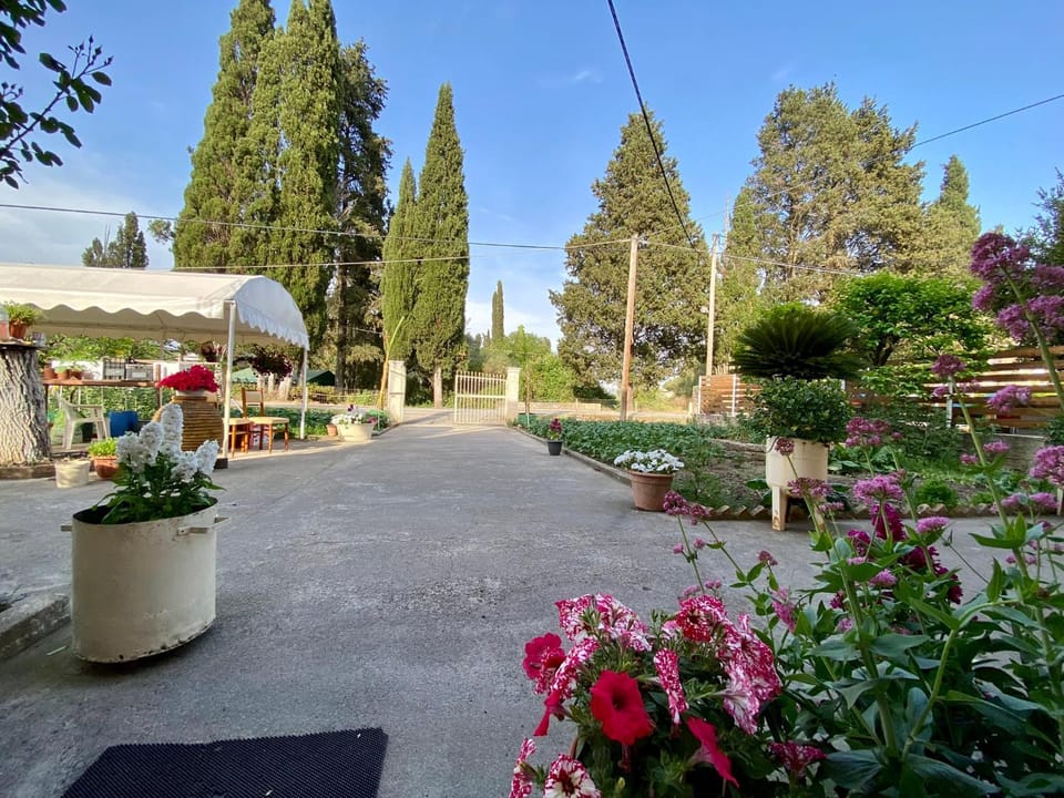Patio, Garden, Balcony/Terrace