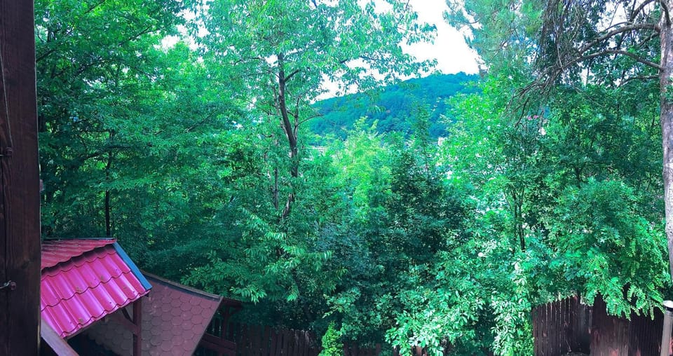 Natural landscape, Garden, Mountain view