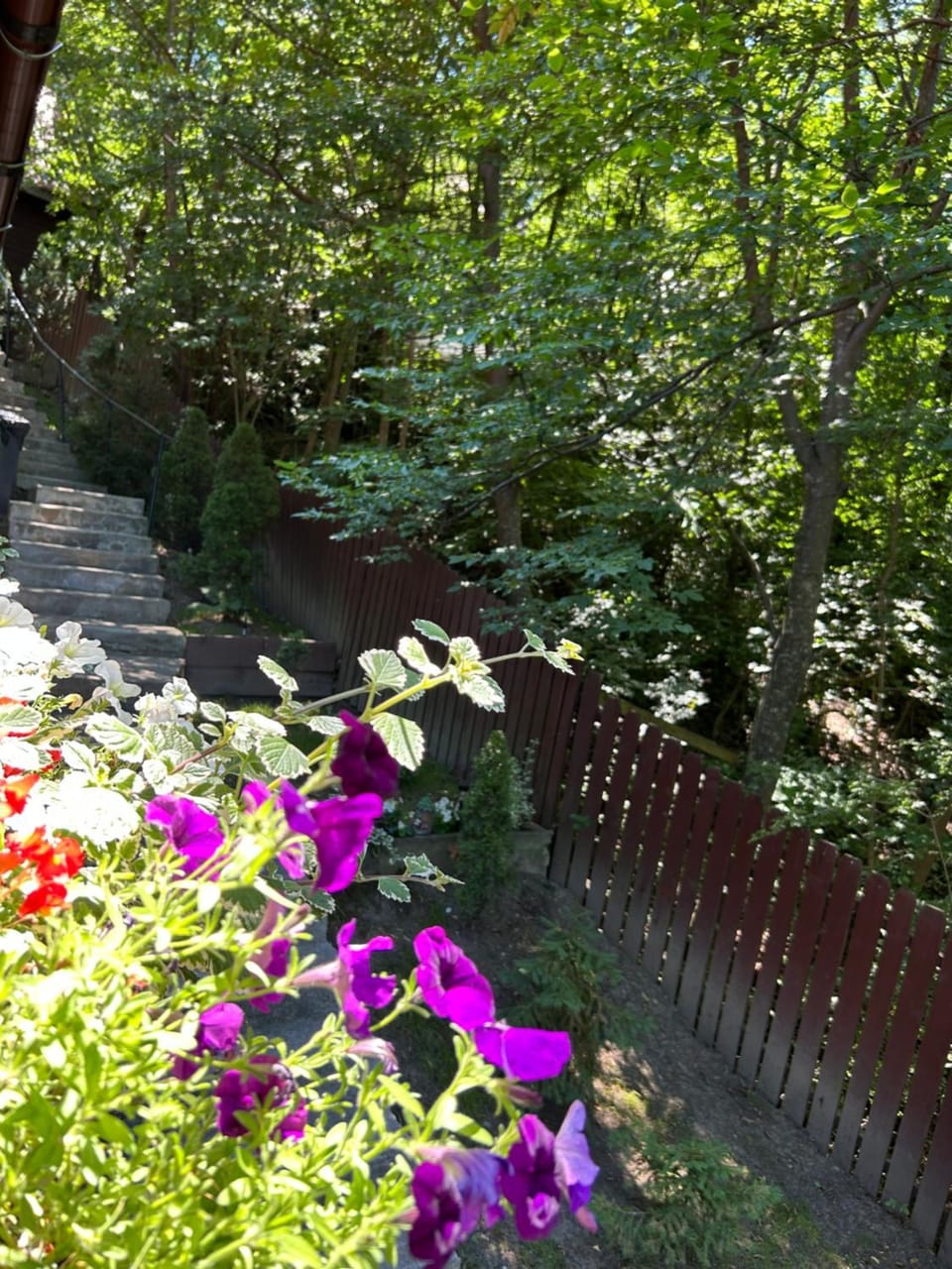 Hegyi-lak vendégház Bed and Breakfast in Romania