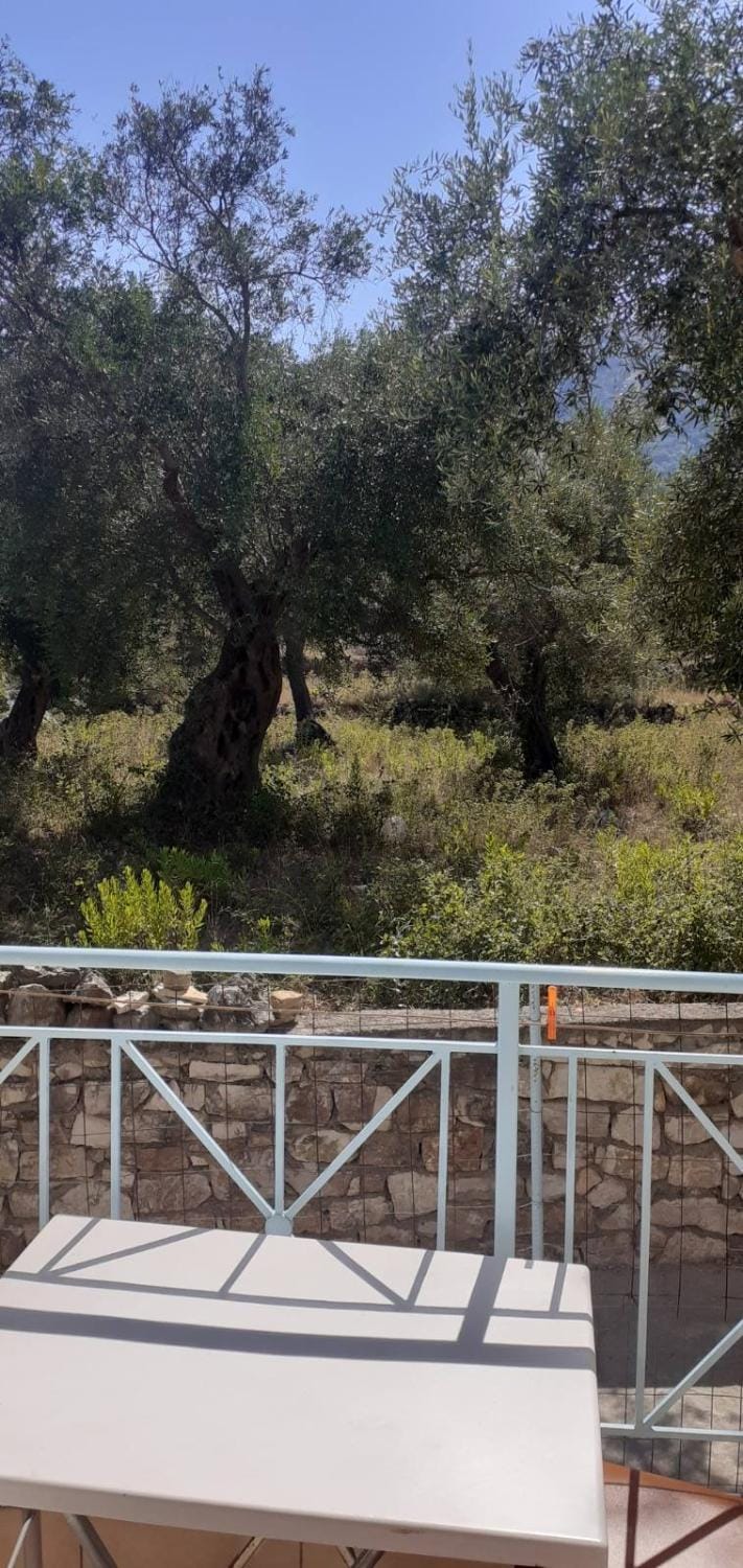 Villa Olivia Grove Vacation rental in Vlorë County, Albania