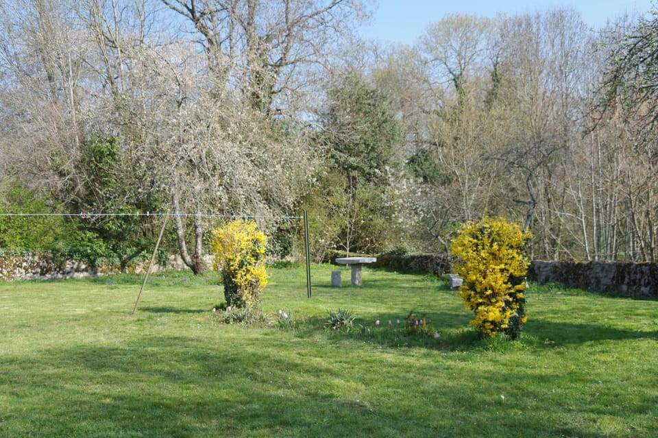 Spring, Garden
