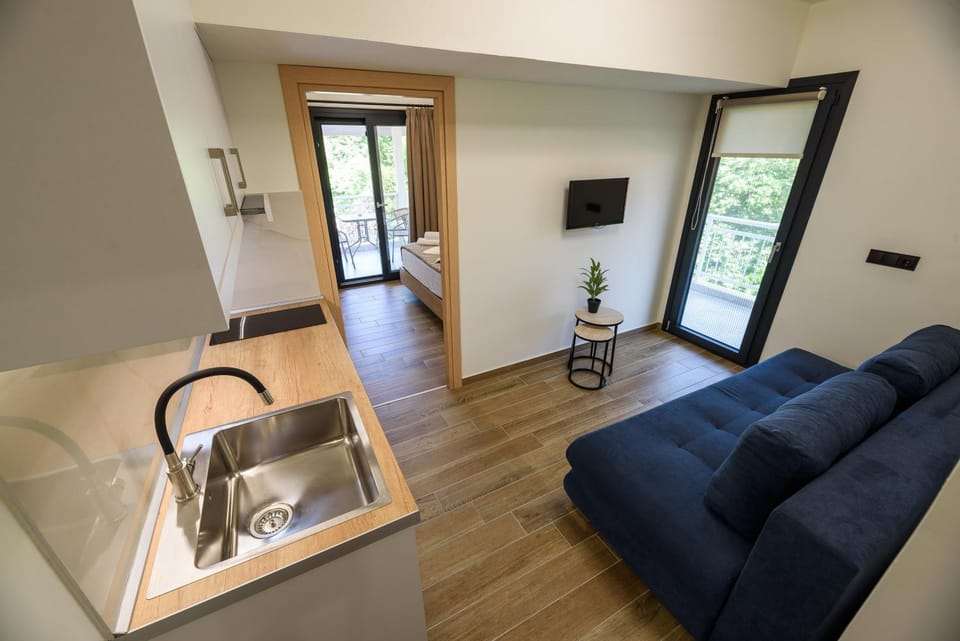 TV and multimedia, Kitchen or kitchenette, Living room, Seating area