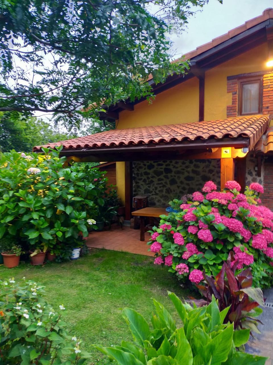 Summer, Garden view