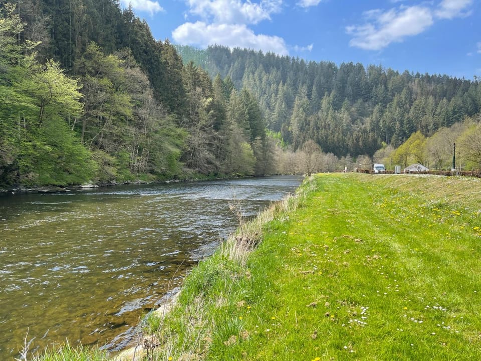 Natural landscape, River view