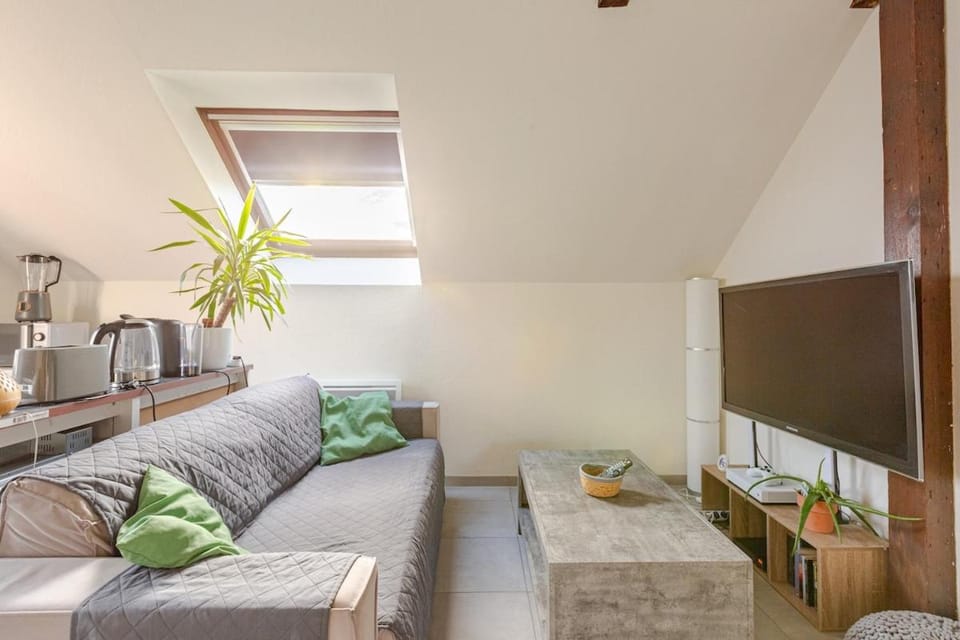 TV and multimedia, Coffee/tea facilities, Kitchen or kitchenette, Living room, Seating area