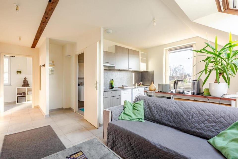 Kitchen or kitchenette, Living room, Seating area, Dining area, oven, pet friendly, stove
