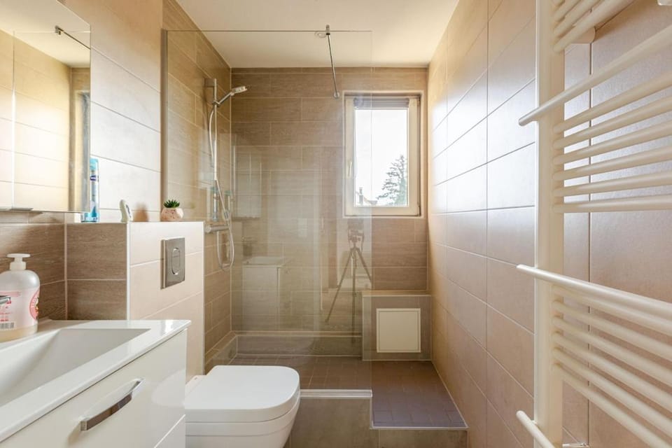 Shower, Toilet, Bathroom, towels