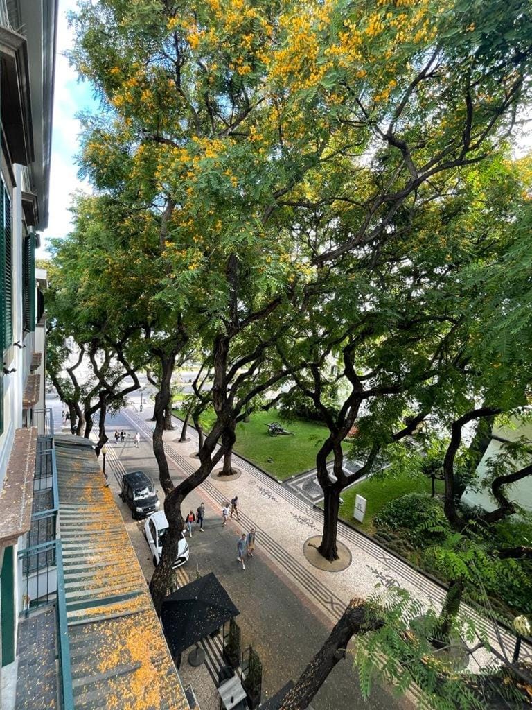 Garden view, Street view