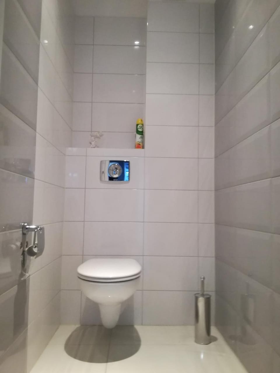 Blue Sky Apartment Apartment in Poznan