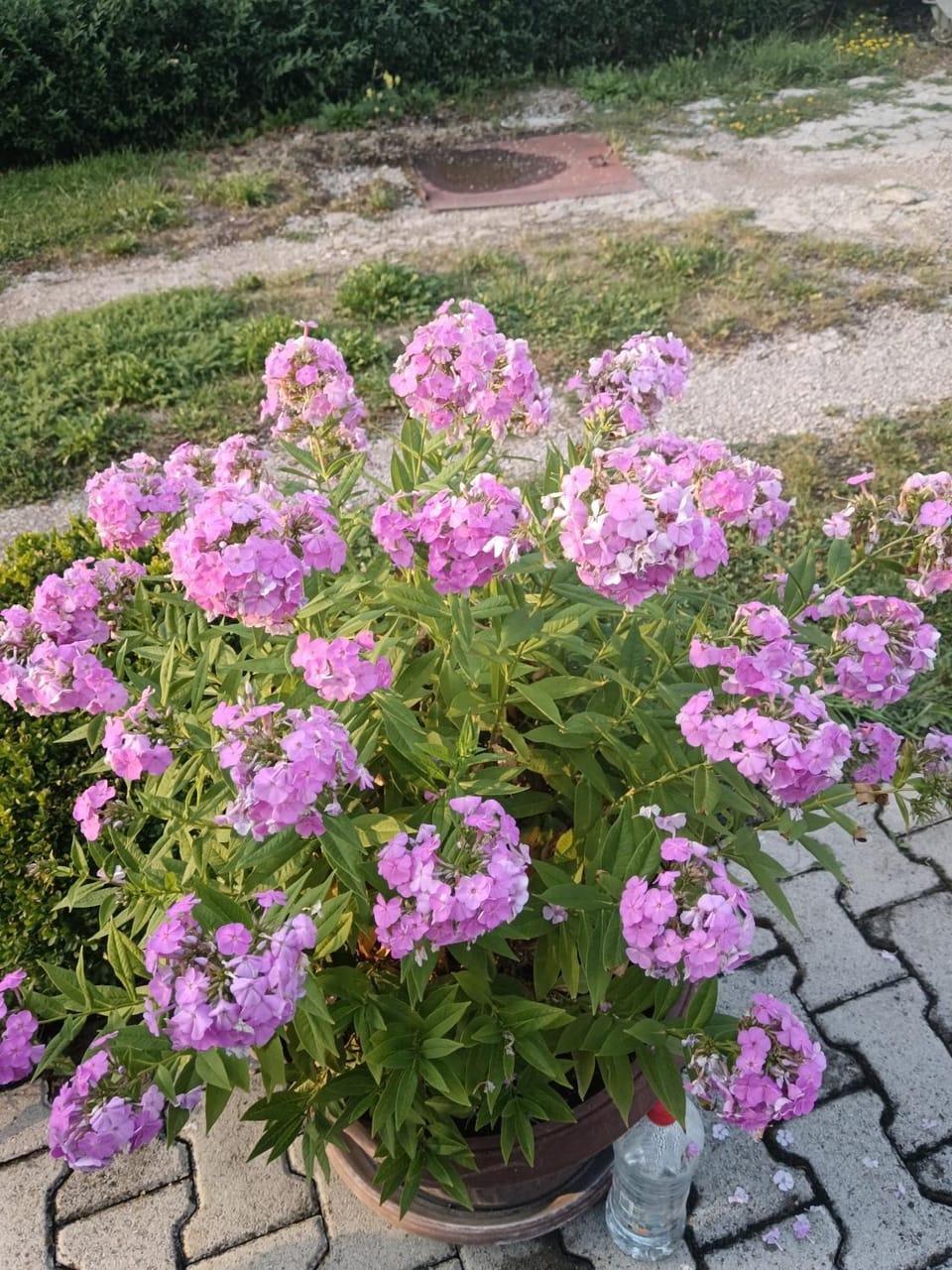 Apartman HAX Apartment in Zlatibor District, Serbia