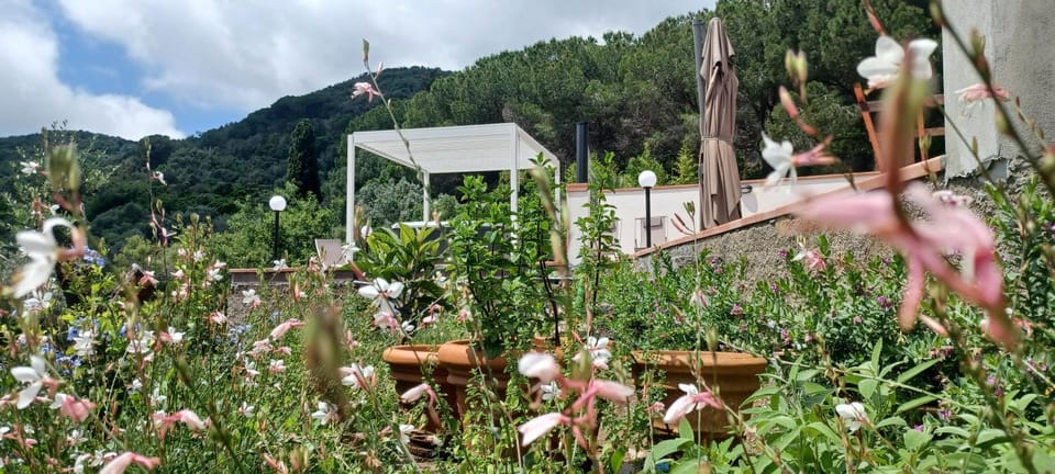 Natural landscape, Garden, Garden view, Mountain view