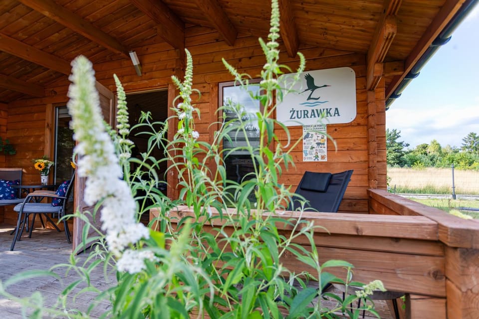 W Żurawim Zaciszu - Karwik House in Poland