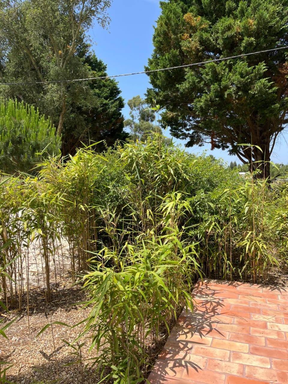 Quintal Alentejano Luxury tent in Portugal