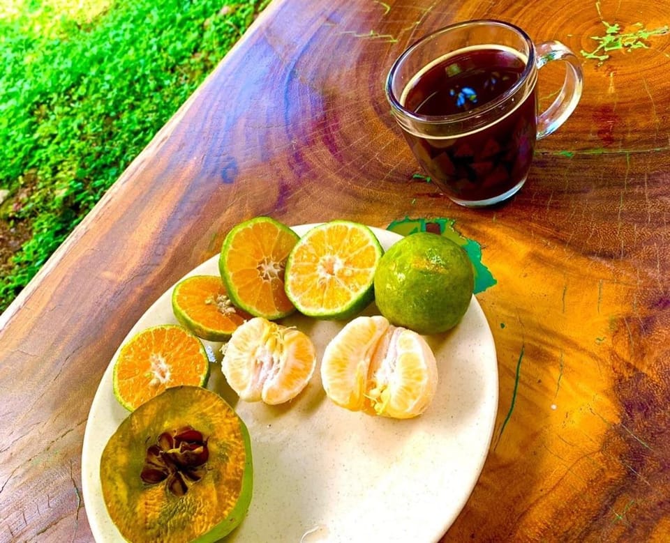 Food and drinks, Food, Breakfast, Drinks