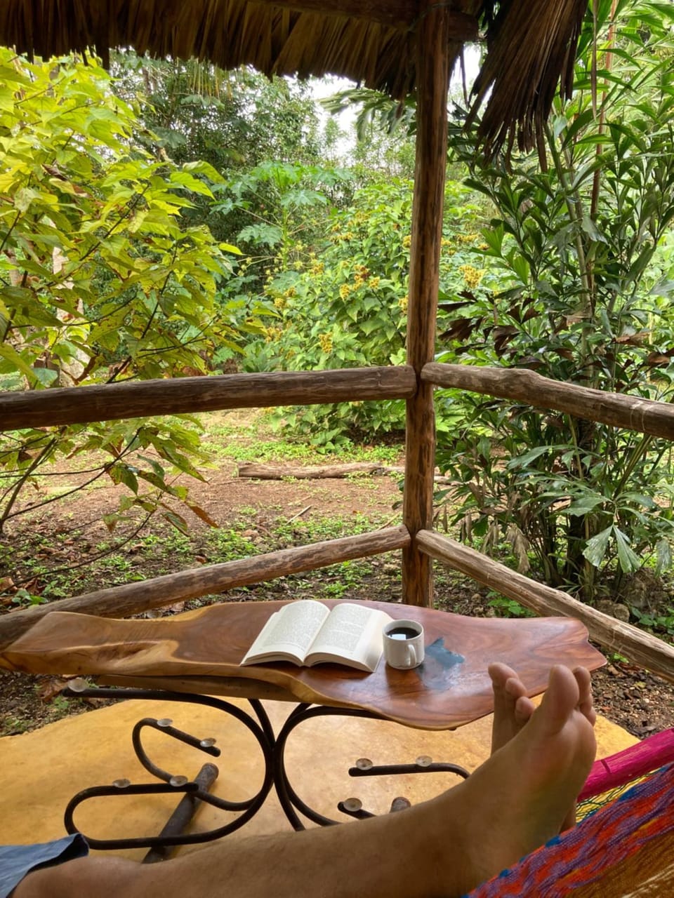 Garden view