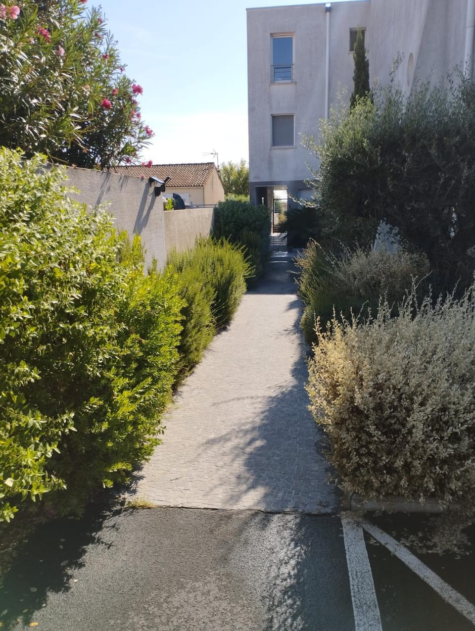 Garden view