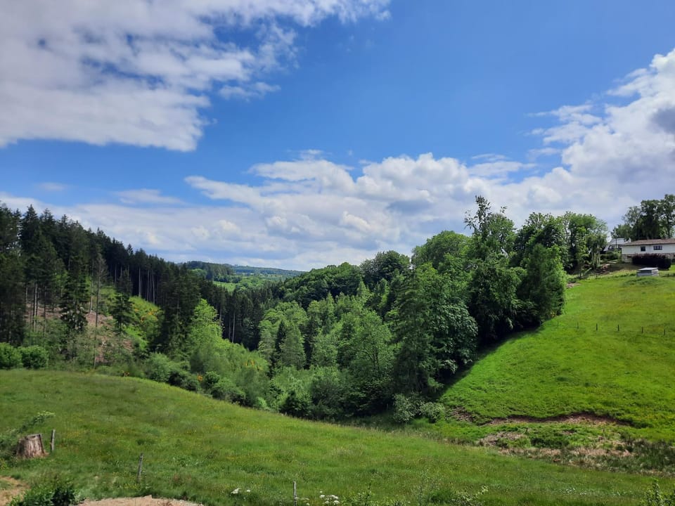 Natural landscape