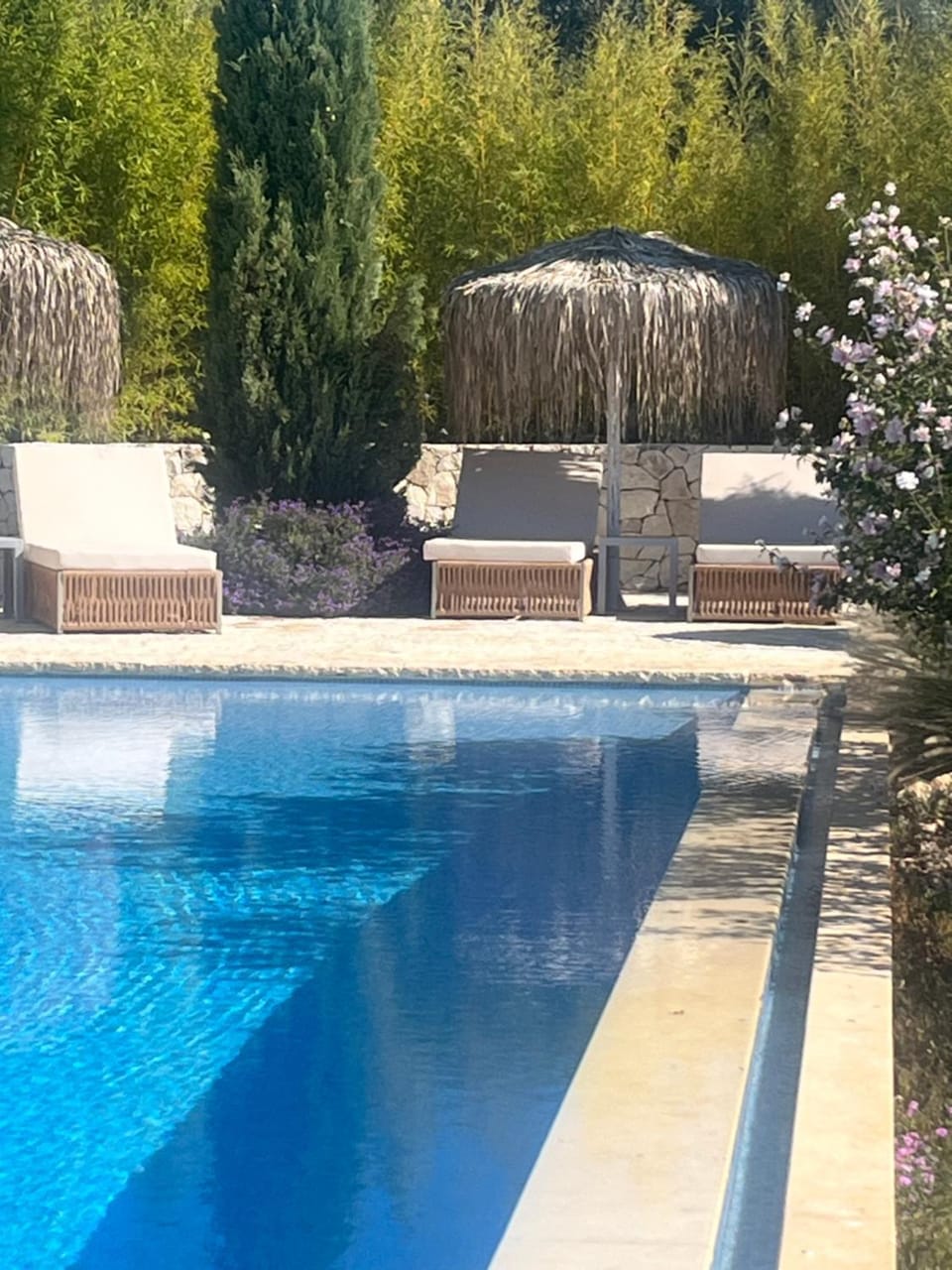 Swimming pool, sunbed
