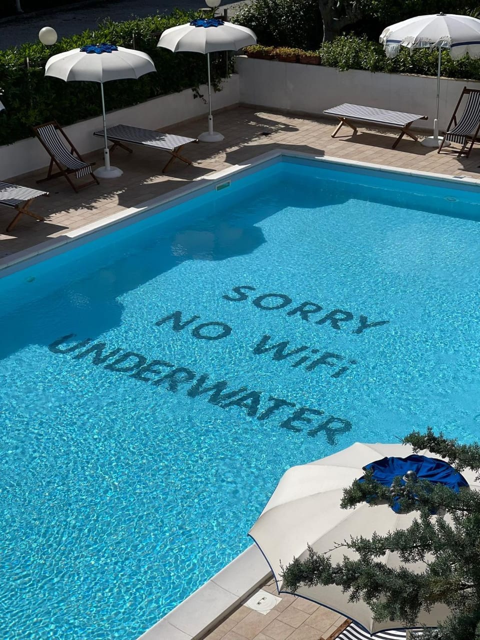 Pool view, Swimming pool, sunbed