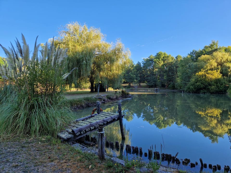 Day, Garden, Lake view