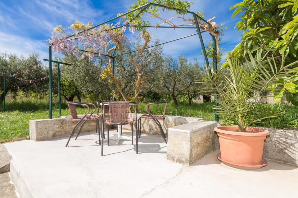 Patio, Day, Garden, Garden view