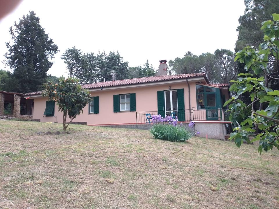 Piccolo appartamento immerso nella campagna Apartment in Tuscany