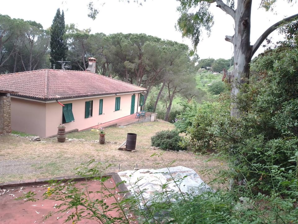 Piccolo appartamento immerso nella campagna Apartment in Tuscany