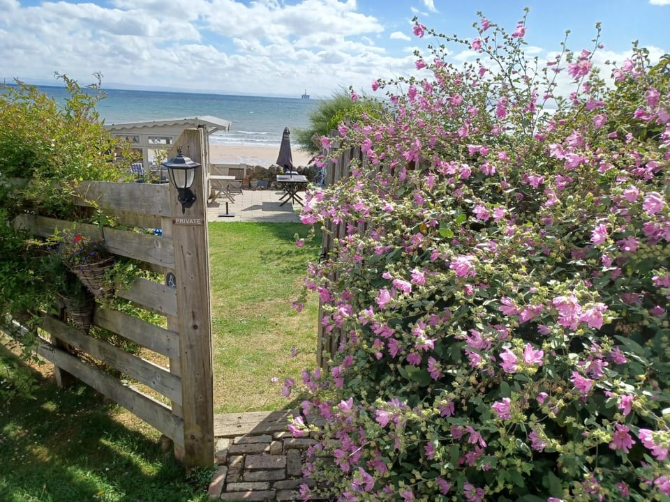 Garden, Sea view