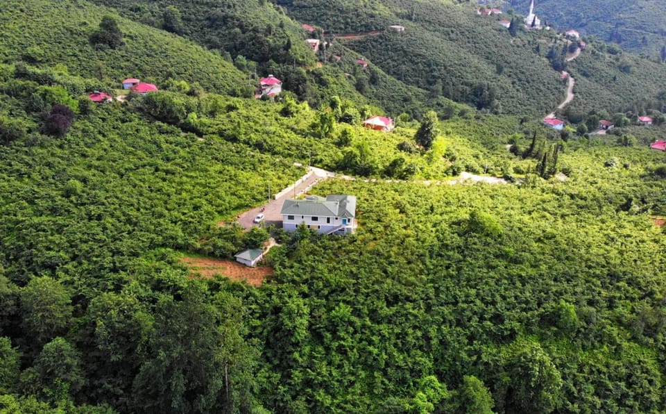 Property building, Natural landscape, View (from property/room), View (from property/room), Mountain view, Mountain view