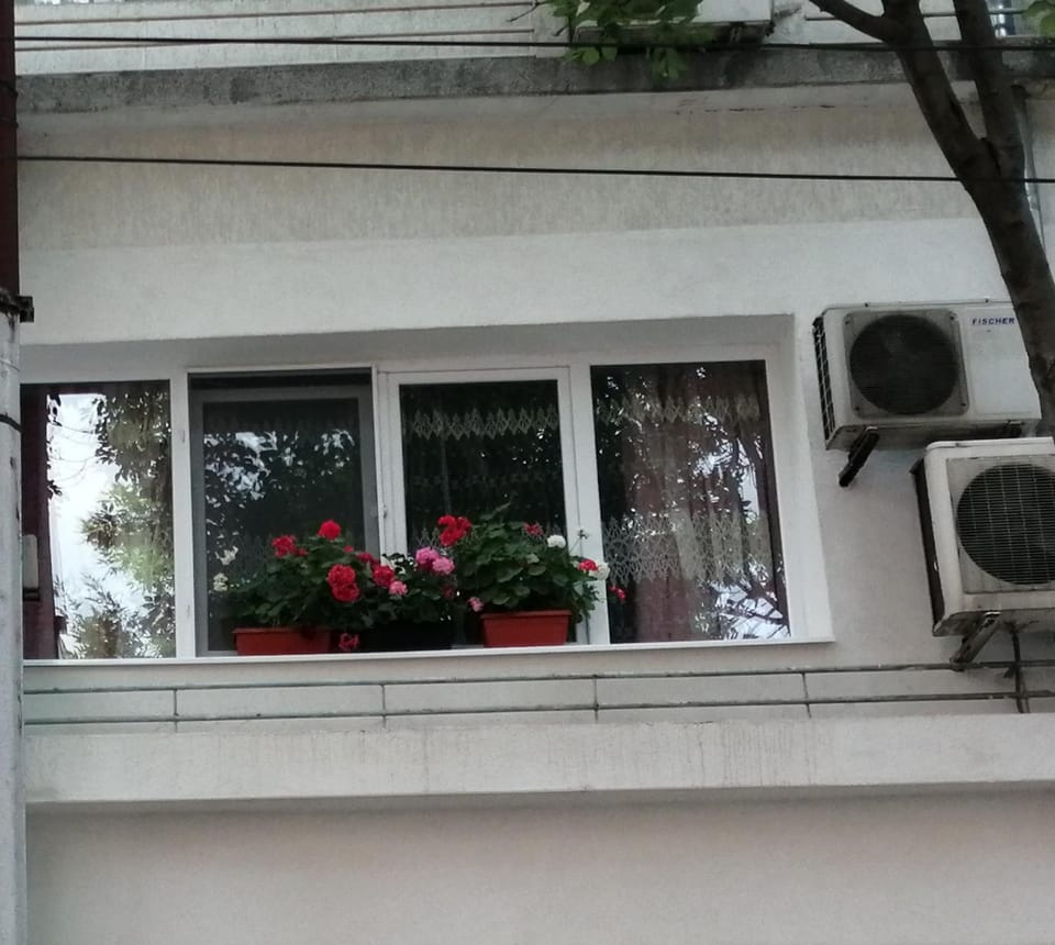 В сърцето на Варна ви очаква прекрасен и просторен апартамент Apartment in Varna