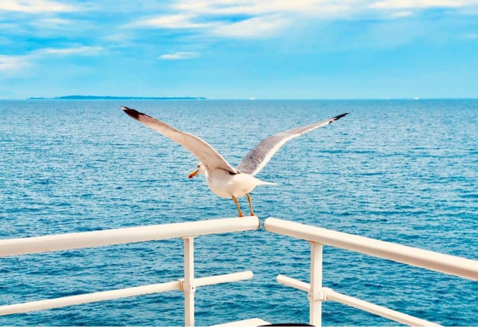 Sea view