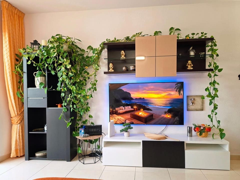 TV and multimedia, Evening entertainment