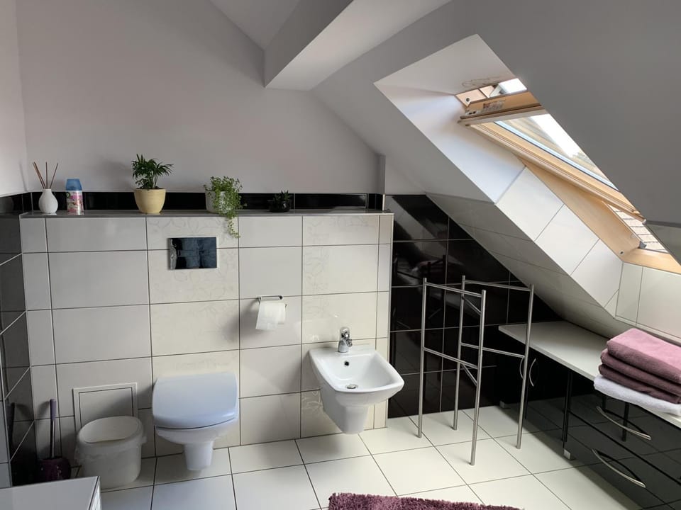 Toilet, Bathroom, bidet, towels