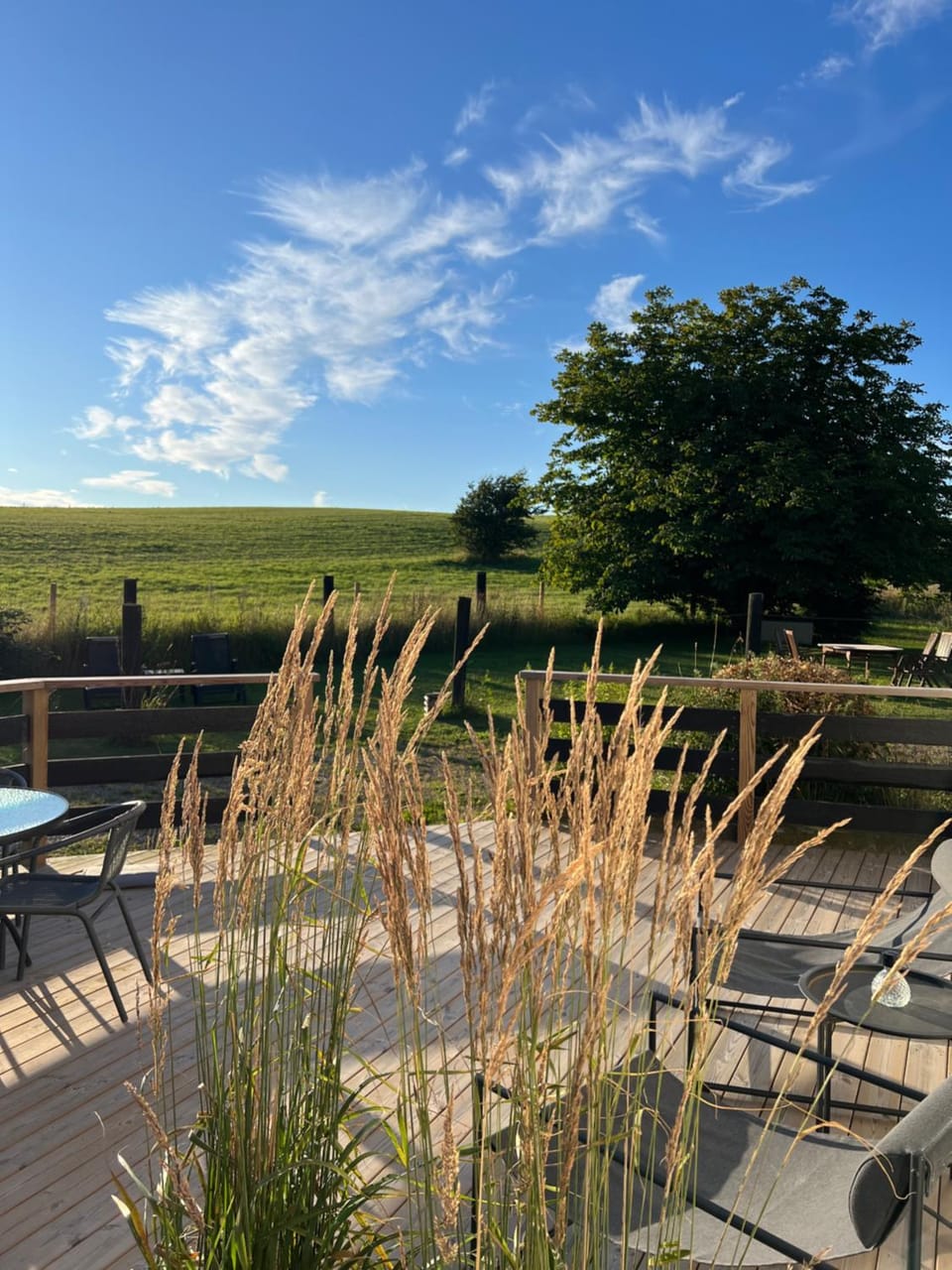 Patio, View (from property/room)