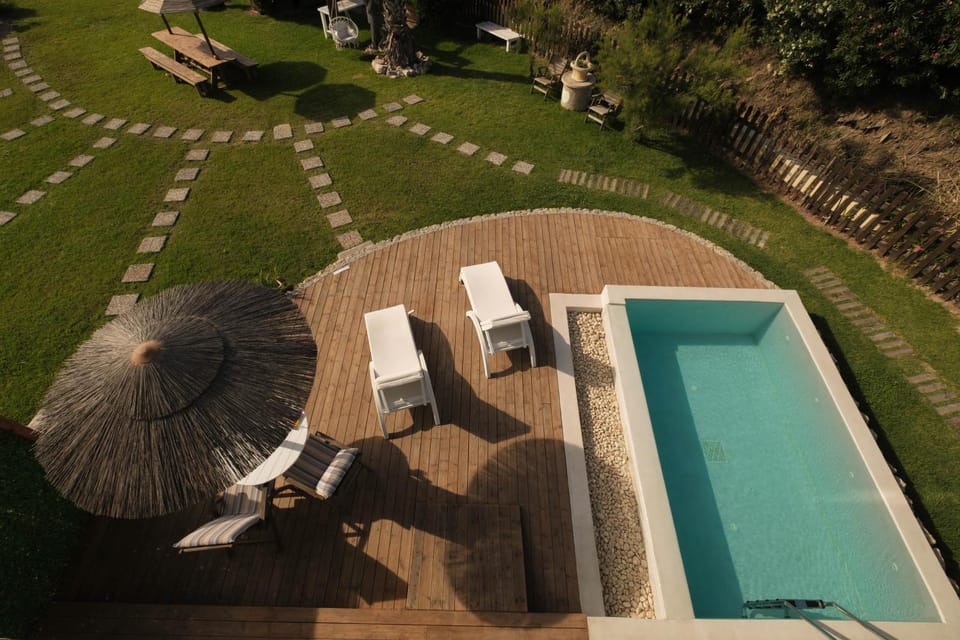 Patio, Garden, Garden view, Swimming pool, sunbed