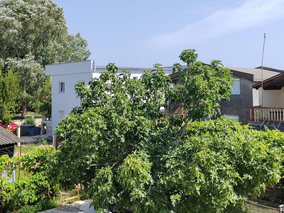 Vila Goga Apartment in Ulcinj Municipality