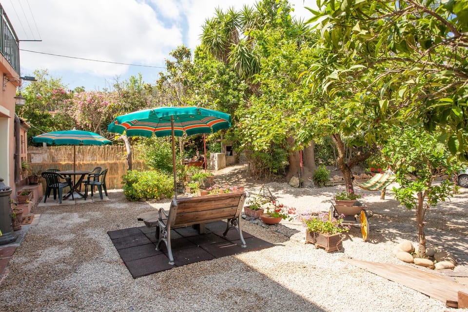 Day, Garden, Garden view
