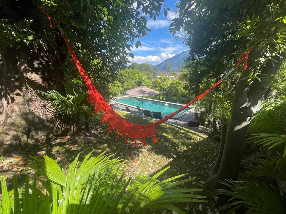 Natural landscape, Garden, Garden view, Pool view, Swimming pool