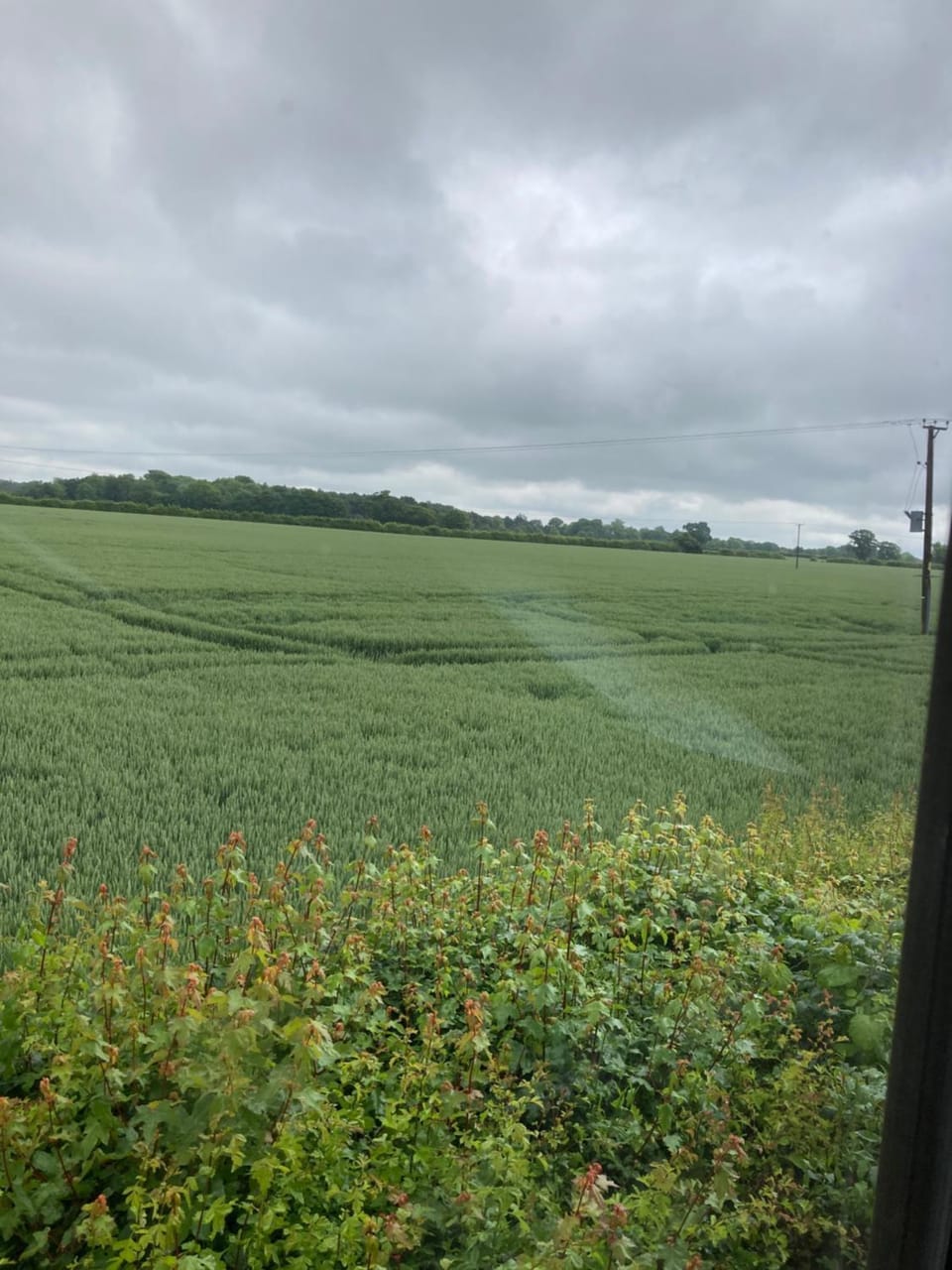 The Shed Apartment in South Norfolk District