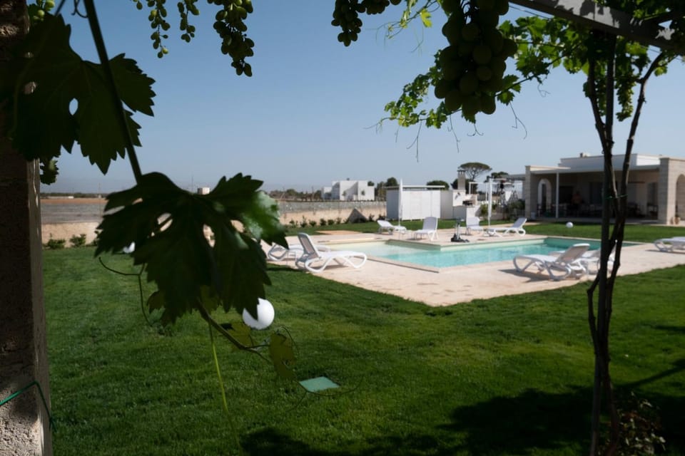 Garden, Pool view, Swimming pool